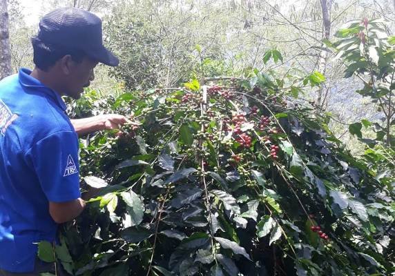 WhatsApp Image 2021-01-27 at 13.52.15