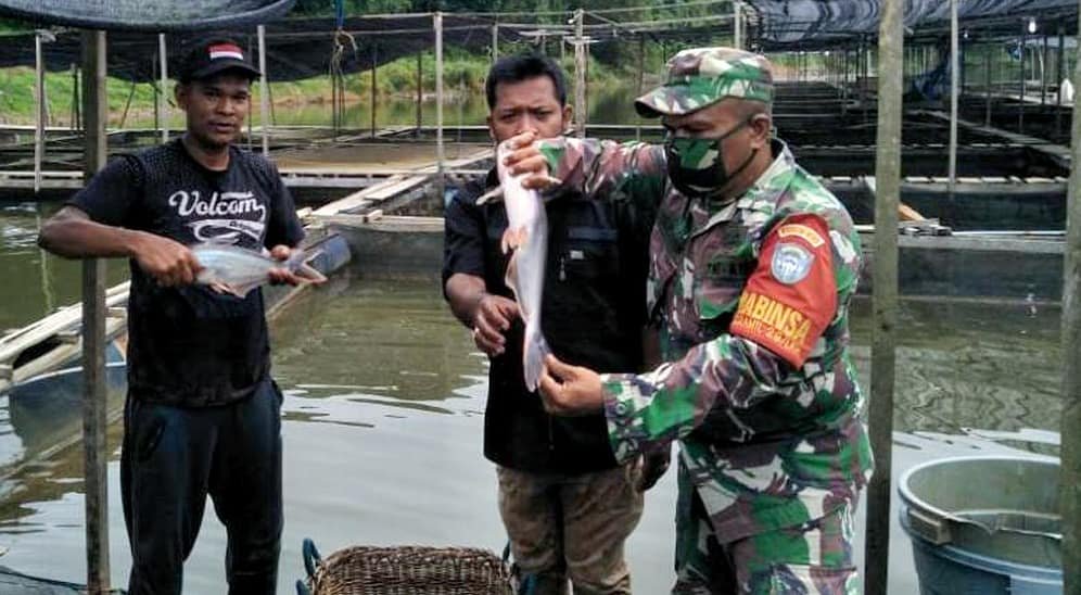 Babinsa dan warga panen patin