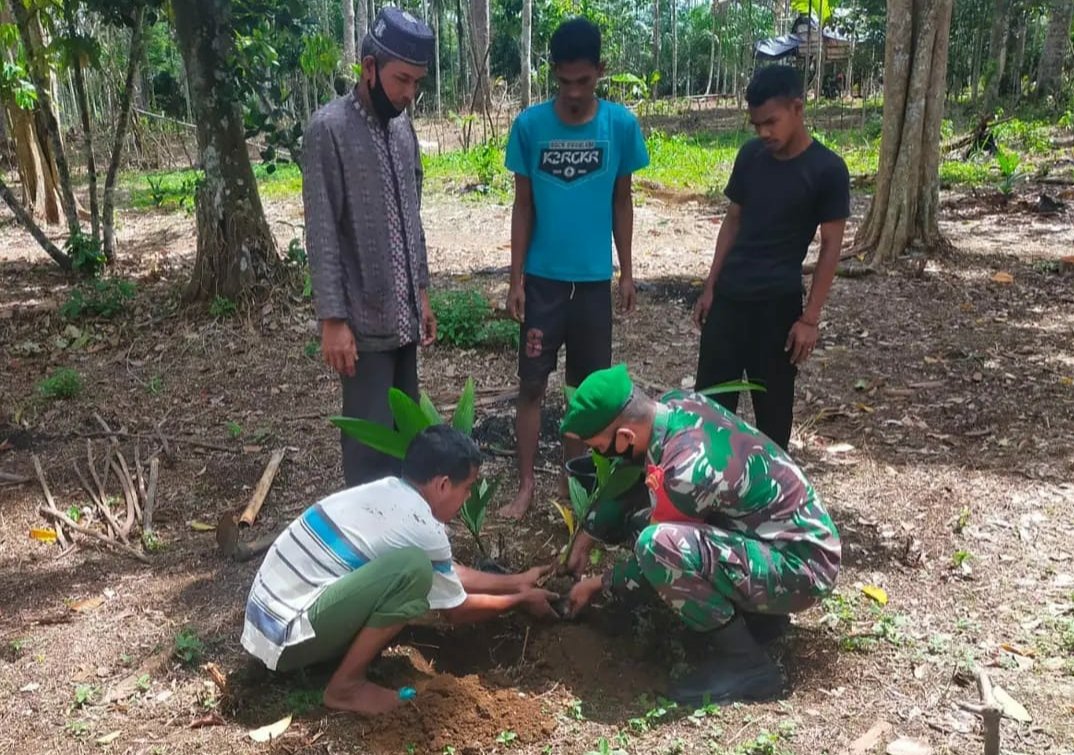 Babinsa bantu pinang