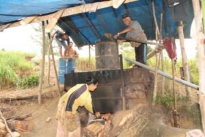 Serai Wangi Gayo Lues-Anuar-Portalsatu