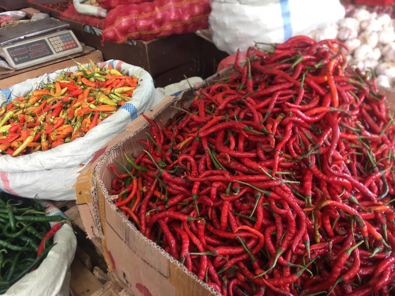 Harga Cabai Rawit Naik