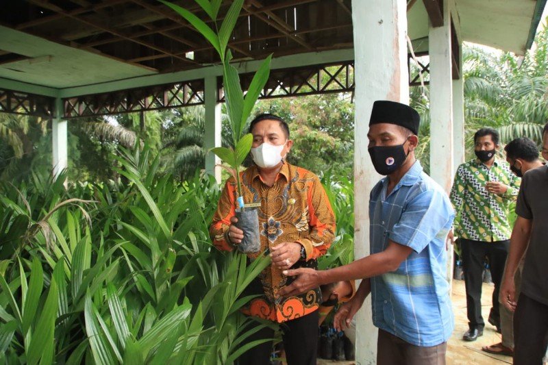 IMG-20211111-WA0064_copy_800x533