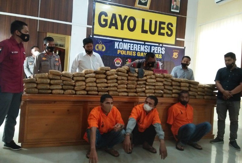 IMG_20211111_170131_copy_800x538