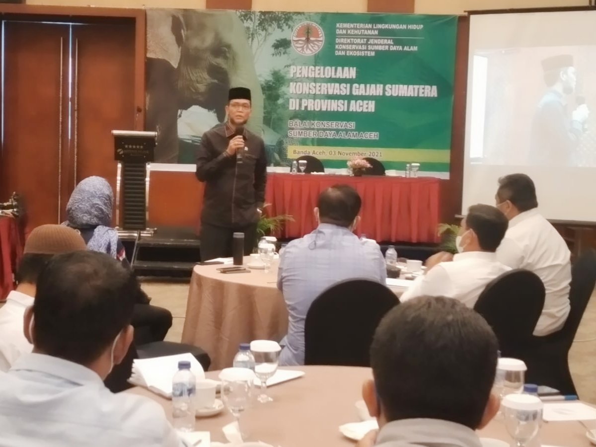 Penanganan Konflik Gajah di Aceh Perlu Gunakan Kearifan Lokal