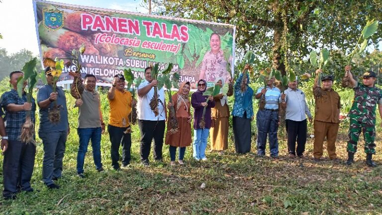 Tingkatkan Ketahanan Pangan, Walkot Bintang Ajak Masyarakat Budidaya Talas Bogor
