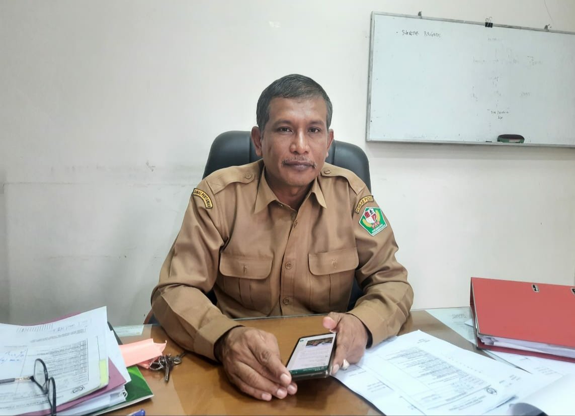 Kadistanpan Pidie: Daging Ternak Terinfeksi PMK Aman Dikonsumsi