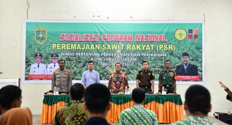 IMG-20220825-WA0010_copy_800x533