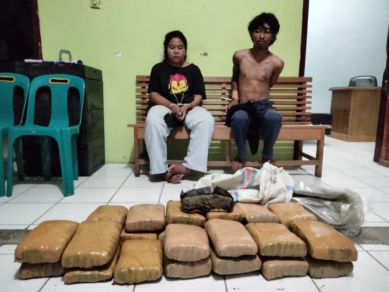 IMG-20220825-WA0026_copy_800x600