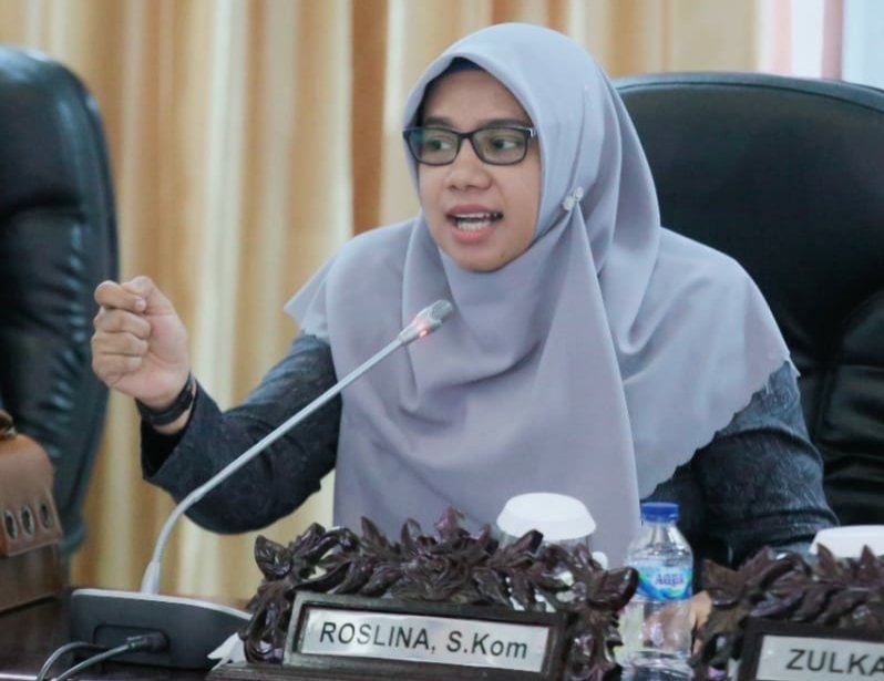 Roslina DPRK Lhokseumawe