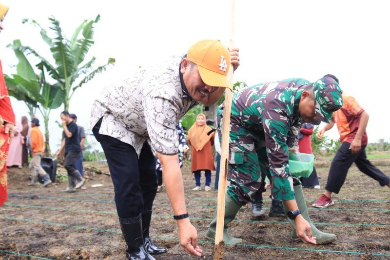 IMG-20221031-WA0083_copy_800x533