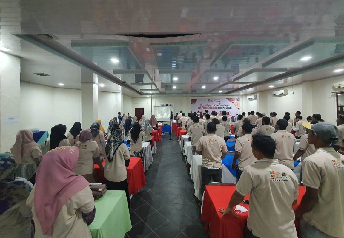 Sosialisasi replanting sawit