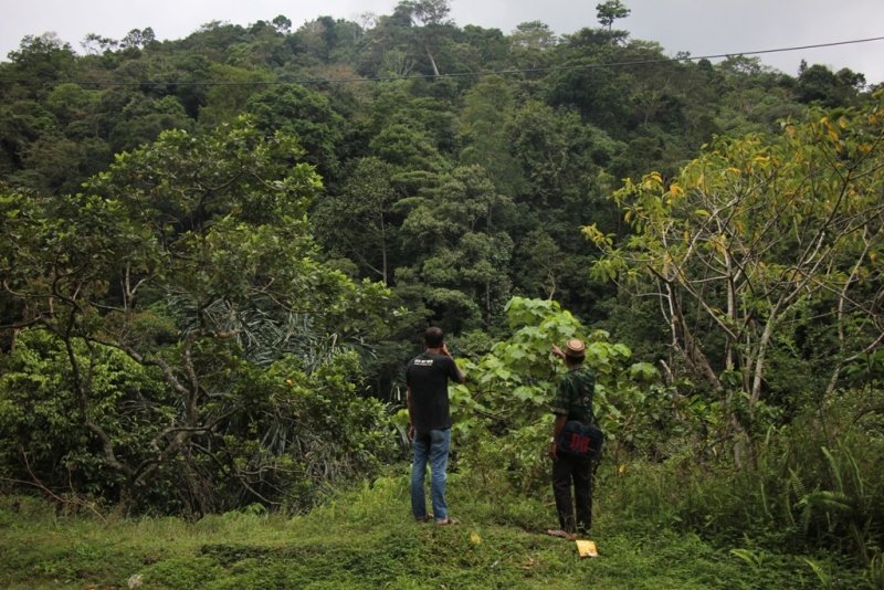 Hutan yang diusulkan sebagai hutan adat oleh Mukim Beungga Kab Pidie
