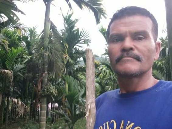 M Sur Pining Gayo Lues