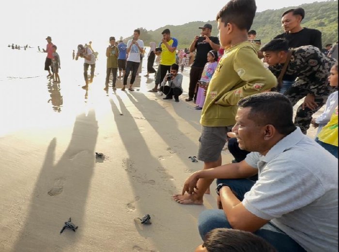 DPRA 14 Maeret 2023 penyu