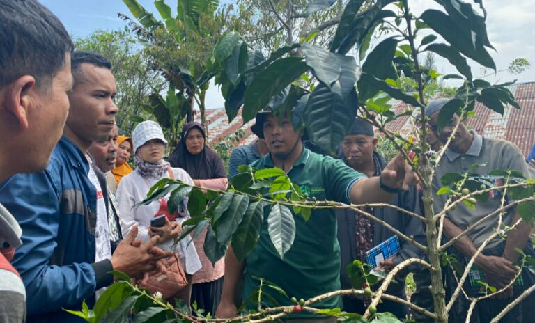 Petani Kopi di Gampong Alue Dua Aceh Utara Ikut Sekolah Lapang