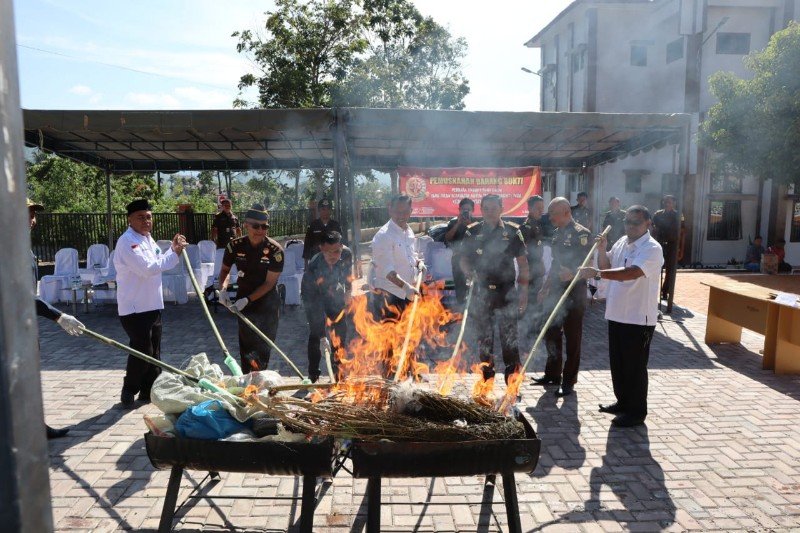 IMG-20230621-WA0015_copy_800x533