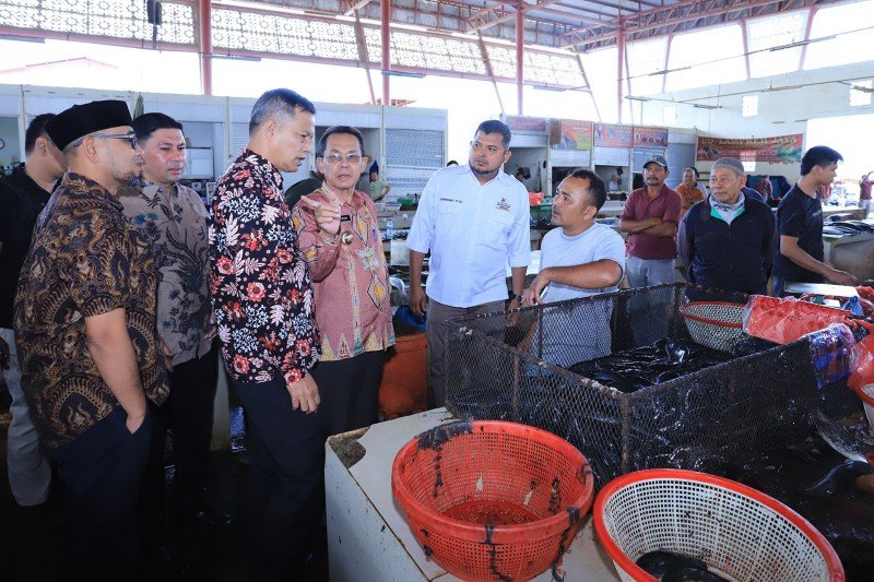 IMG-20230720-WA0035_copy_800x533