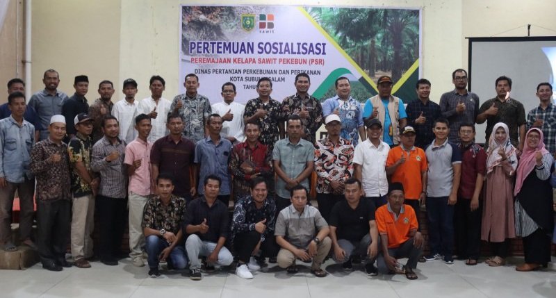 Distanbunkan Sosialisasikan PSR Diikuti Puluhan Pekebun di Kota Subulussalam