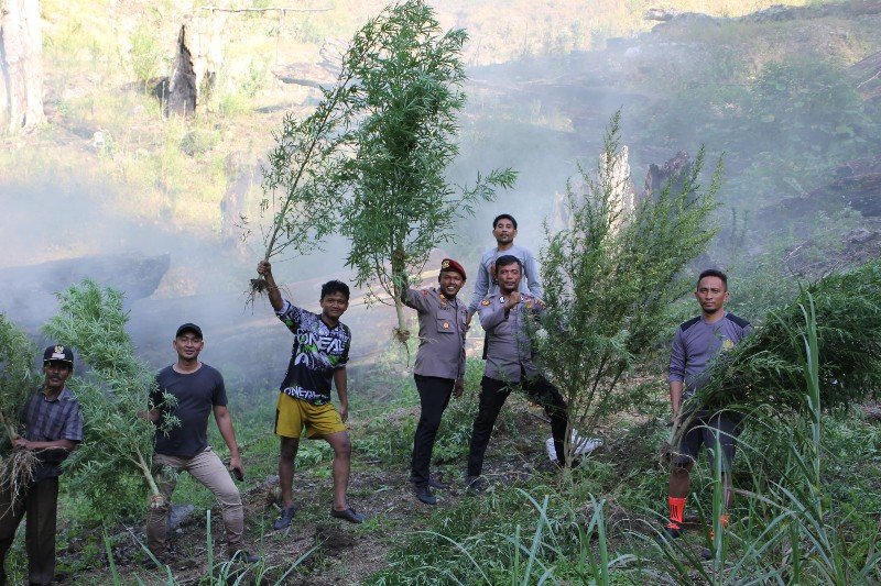 IMG-20240308-WA0032_copy_800x533