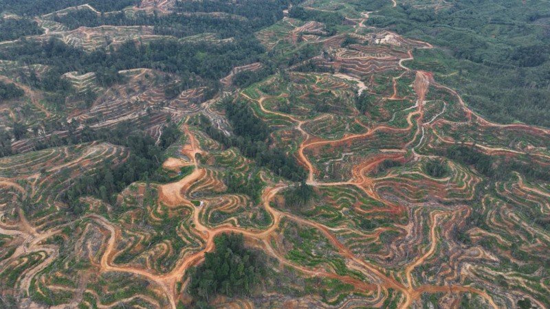 IMG-20240625-WA0028_copy_800x450