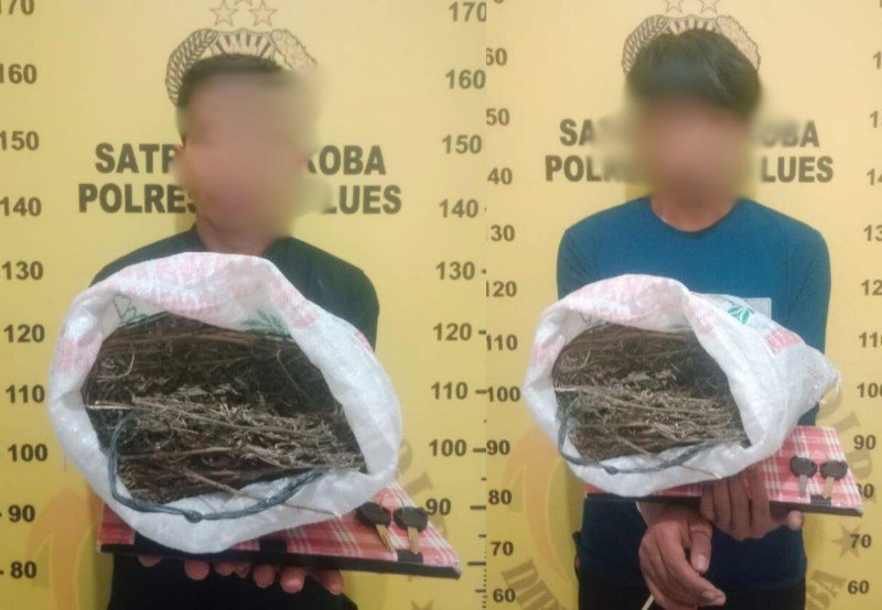 IMG-20240728-WA0010_copy_800x554