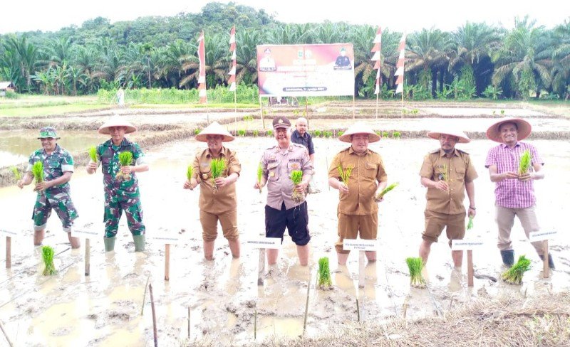 IMG-20240819-WA0049_copy_800x488