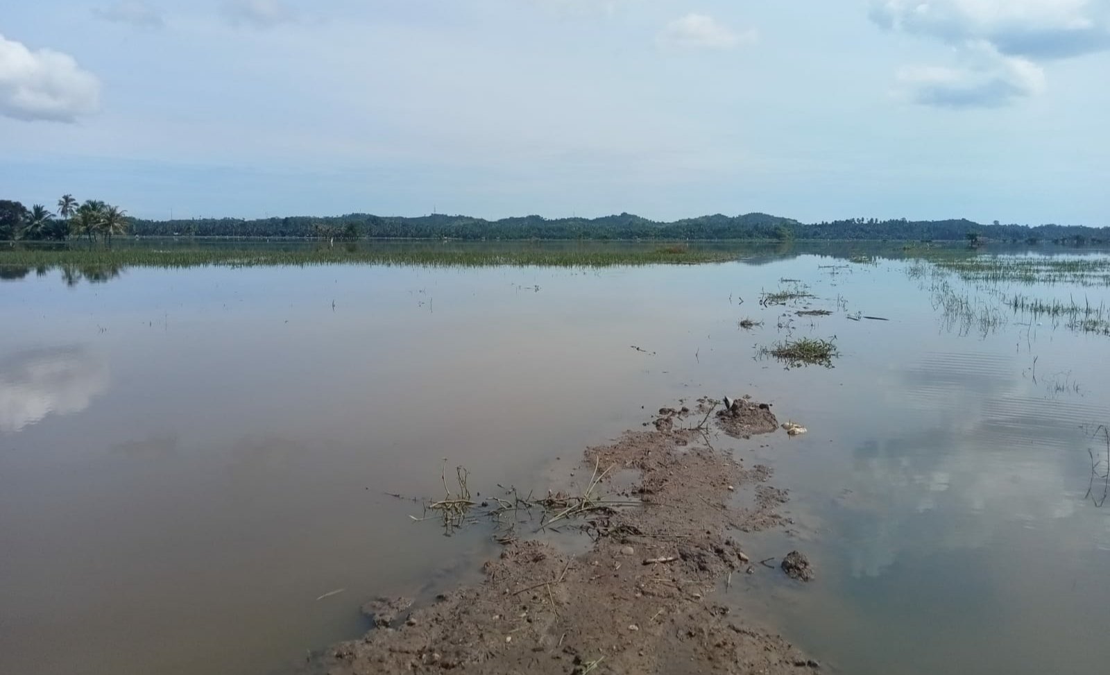 IMG_20250112_225150_1