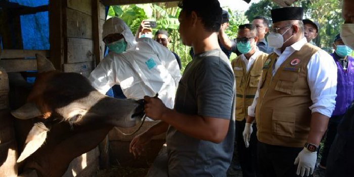 20250222-20250109-180349-660×3301