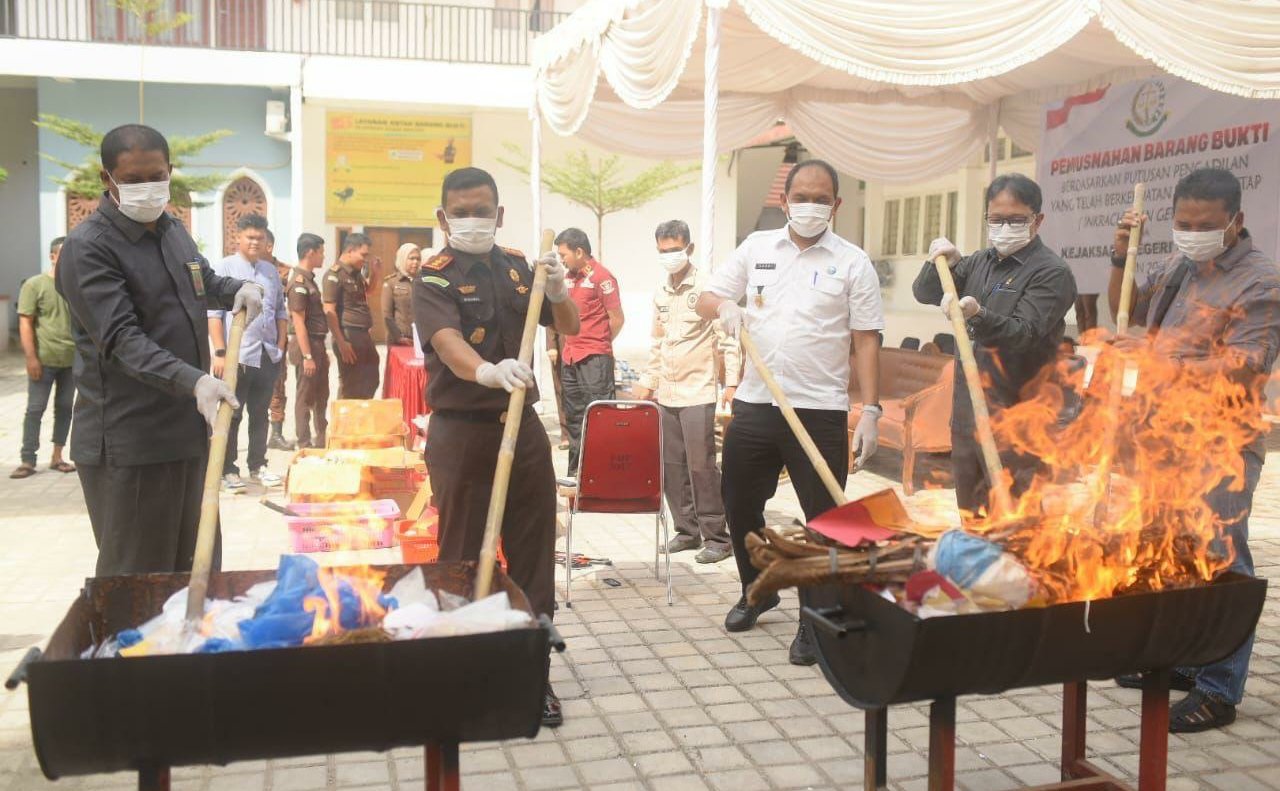 IMG_20250205_154328_1