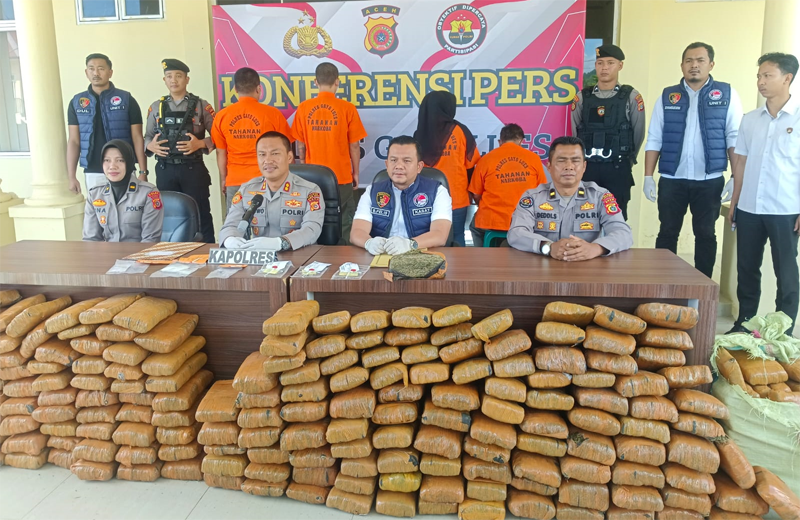 Polres Gayo Lues Amankan 537 Kg Ganja, 110 Gram Sabu, dan 18 Tersangka