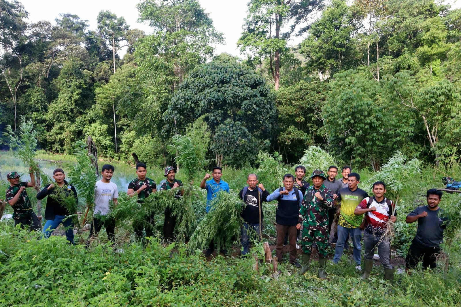 Kodim Gayo Lues musnahkan ladang ganja di Pining1