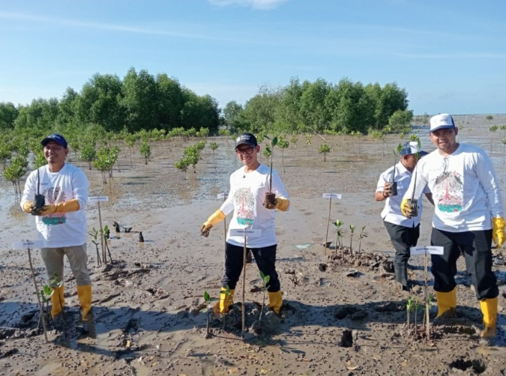 Harbour Energy dan SKK Migas Sumbagut Tanam 5.000 Bibit Mangrove di Samudera