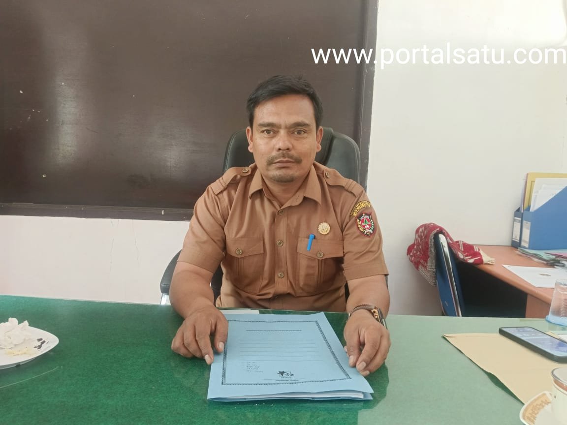 BKPSDM Gayo Lues Umumkan Peserta Masuk PPPK Paruh Waktu Melalui Aplikasi, Segini Jumlahnya