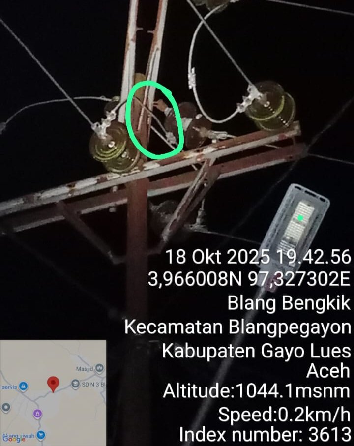 Warga Gayo Lues Protes PLN Ranting Blangkejeren, Ini Penyebabnya