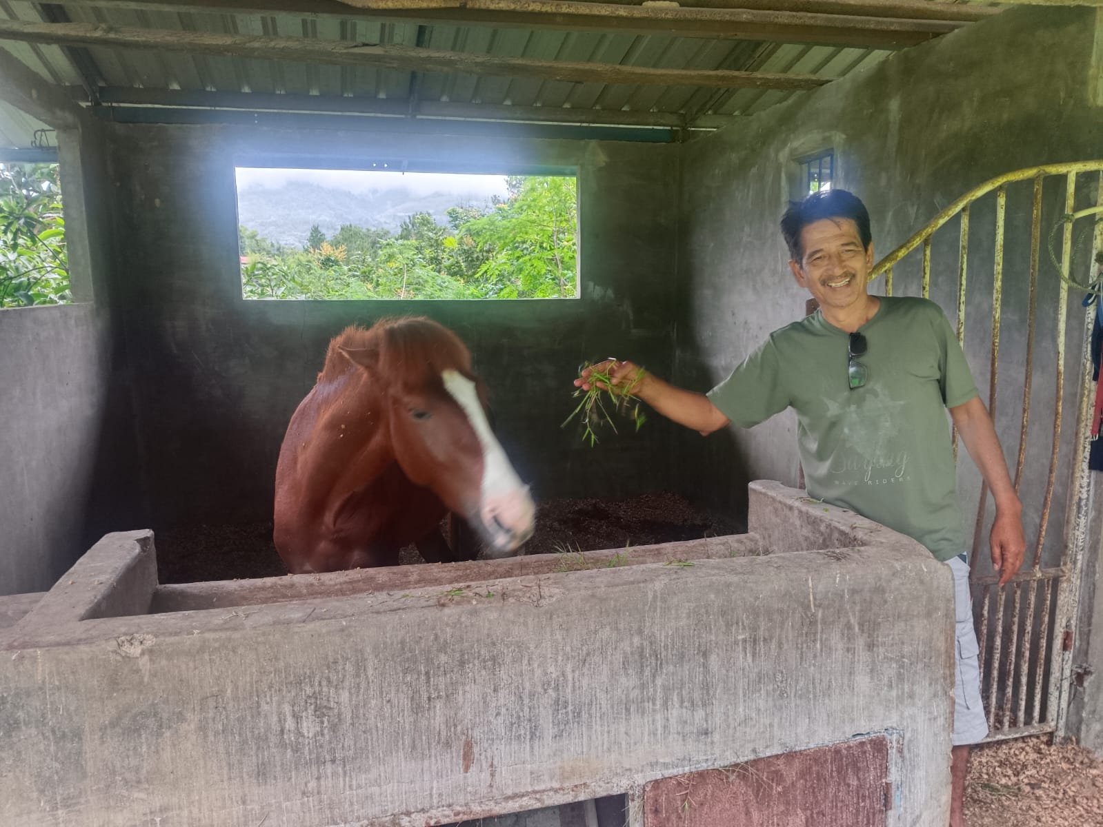 Besok, Seratusan Kuda Wilayah Tengah Aceh Beradu Cepat di Stadion Buntul Nege Gayo Lues