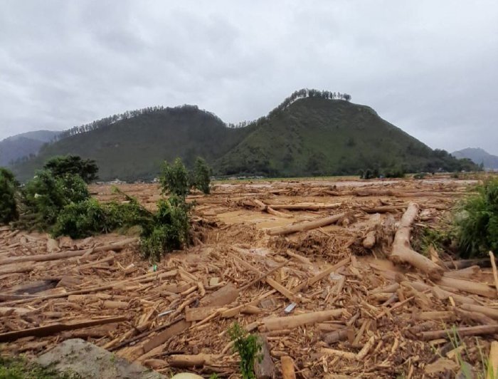 Refleksi dari Banjir Aceh: Manajemen Informasi dan Solidaritas