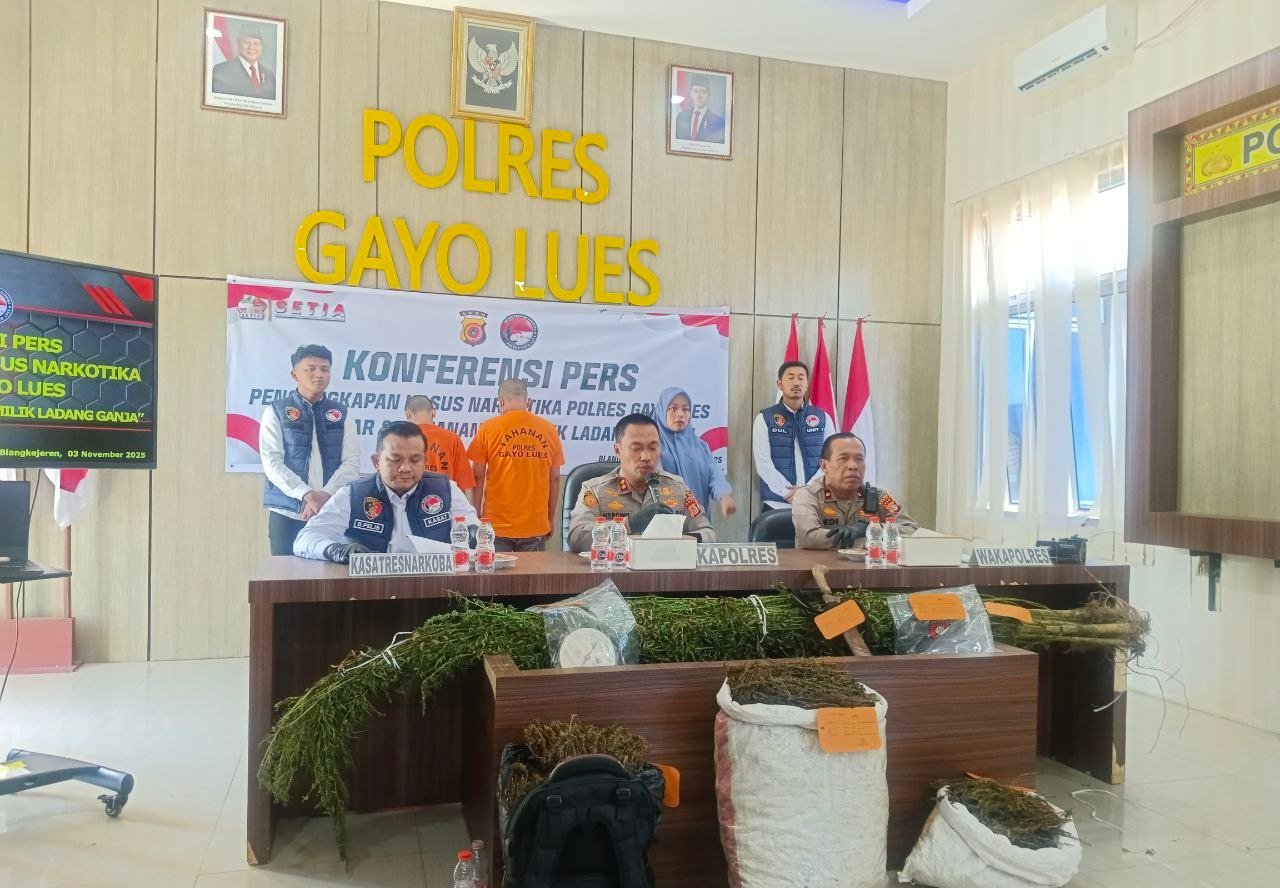 Polisi Gayo Lues Tangkap Ibu dan Anak Pembawa Ganja, Petani Ganja Ikut Diciduk