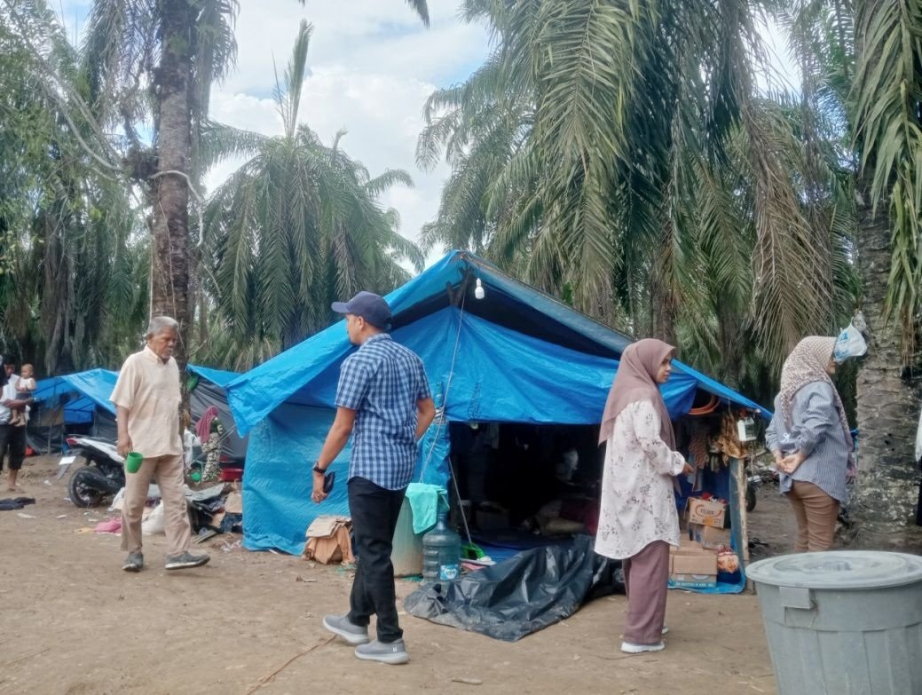 Tenda pengungsian dari terpal biru di Dusun Bahagia Langkahan