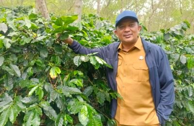 Bupati Gayo Lues Ajak Warga Menanam ‘Emas Merah’