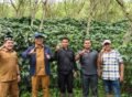 Bupati dan Kabid Perkebunan Kunjungi Kebun Kopi Ketua PWI Gayo Lues di Lembah Kodim