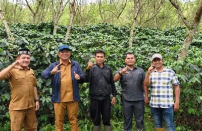 Bupati dan Kabid Perkebunan Kunjungi Kebun Kopi Ketua PWI Gayo Lues di Lembah Kodim