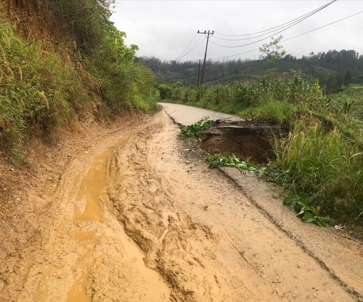PUPR Gayo Lues Siap Perbaiki Jalan Kebun Sebelum Pembagian Bibit Kopi, Warga Diminta Segera Melapor