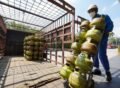 Jelang Iduladha 1447 H, Pertamina Patra Niaga Siapkan 1,2 Juta Tabung LPG 3 Kg untuk Masyarakat Sumbagut