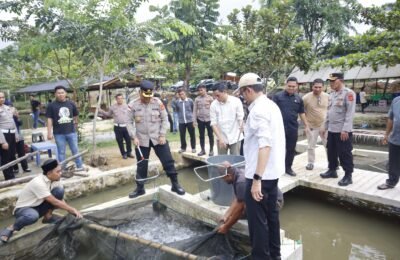 Dukung Ketahanan Pangan, Polres Subulussalam Panen Raya 5 Ton Ikan Lele di Kolam Binaan