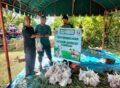 Kurban Ekonomis Yayasan Aceh Tangguh Mulia, Ini Kata Pembina