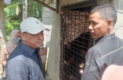Dokter Hanif Jemput 10 ODGJ Dipasung di Aceh Utara, Plt. Kadinkes: Rutin Jalani Pengobatan 1.355 Orang