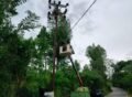 Pemda Gayo Lues Mulai Perbaiki Lampu Jalan, Penerangan di Tempat Umum Jadi Prioritas