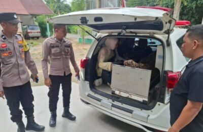 Jasad korban tenggelam