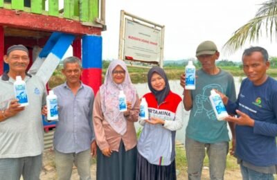 Pertamina Dorong Petambak Udang Lhokseumawe Hadapi Perubahan Iklim dengan Probiotik MOL