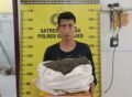 Satresnarkoba Polres Gayo Lues Tangkap Seorang Pemuda dari Kecamatan Pining, Satu Orang Melarikan Diri
